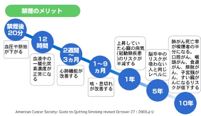 胃内視鏡検査について