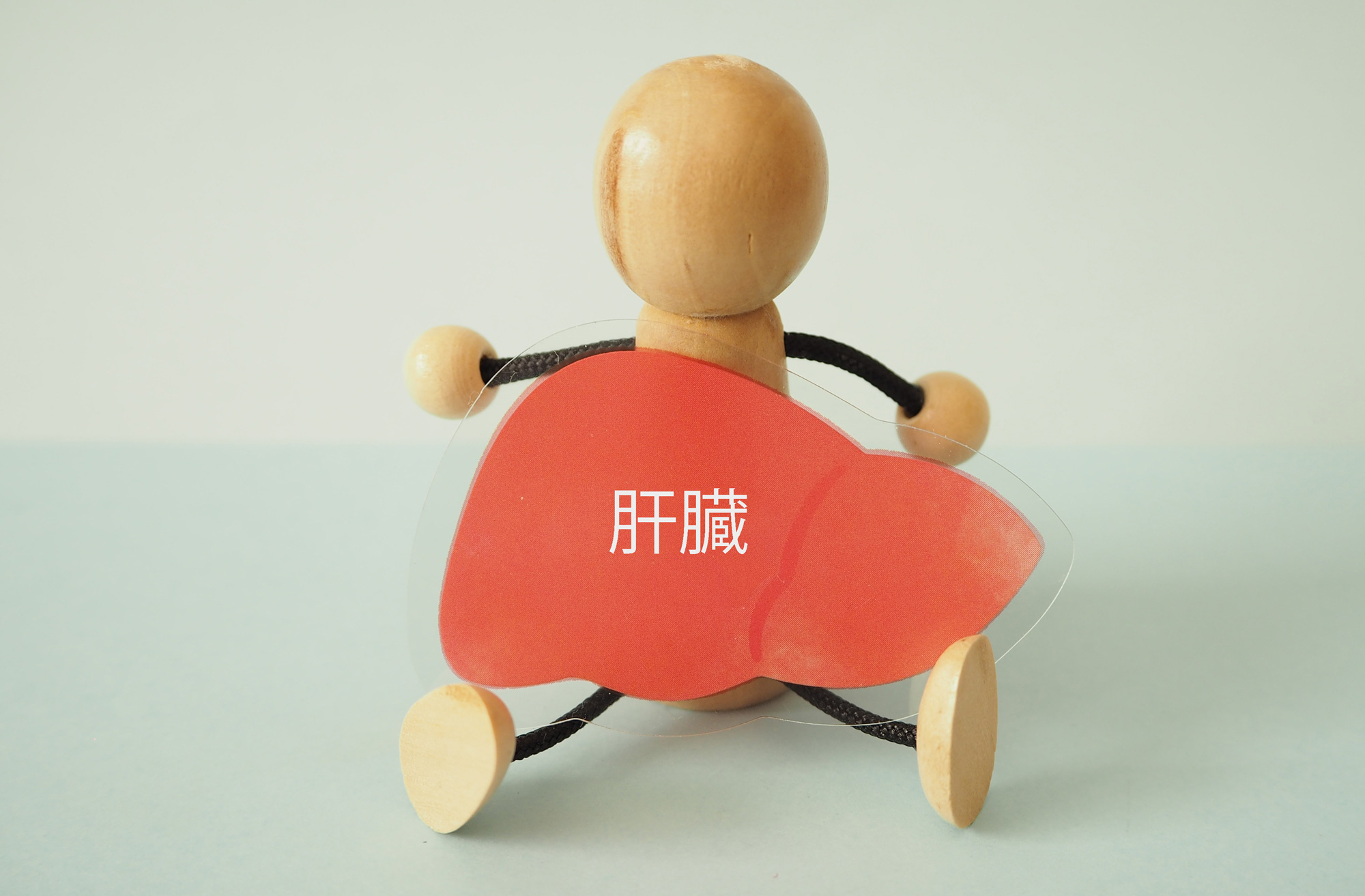 日本の肝臓病の現況