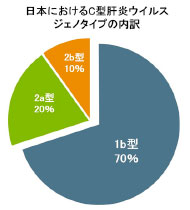 日本におけるC型肝炎ウィルス ジェノタイプの内訳