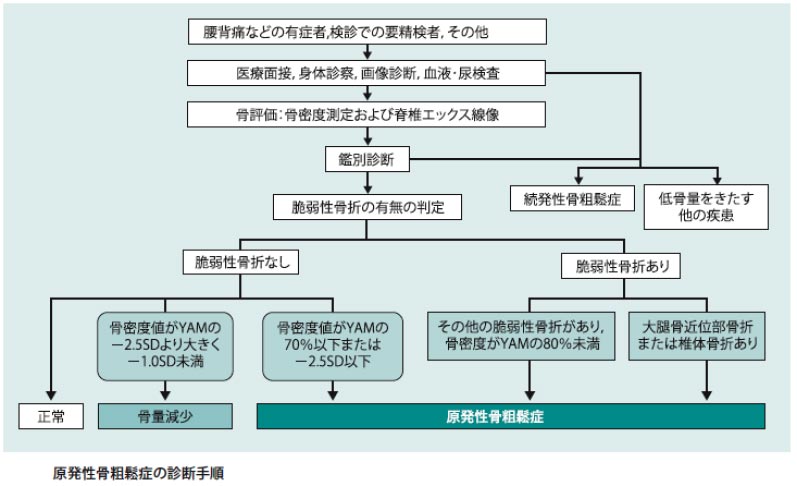 図１