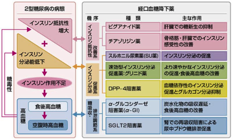 図１