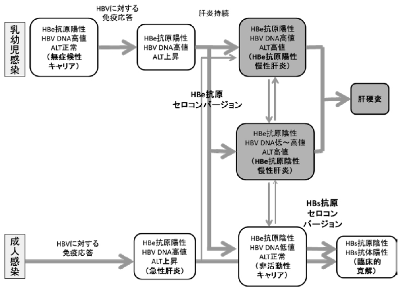 糖尿病性腎症病気分類