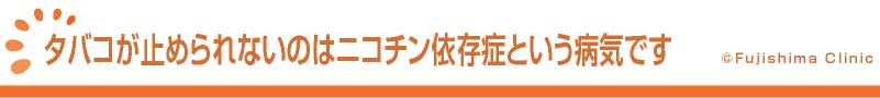 大腸内視鏡検査について