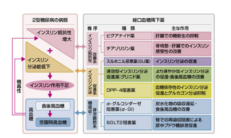 胃内視鏡検査について