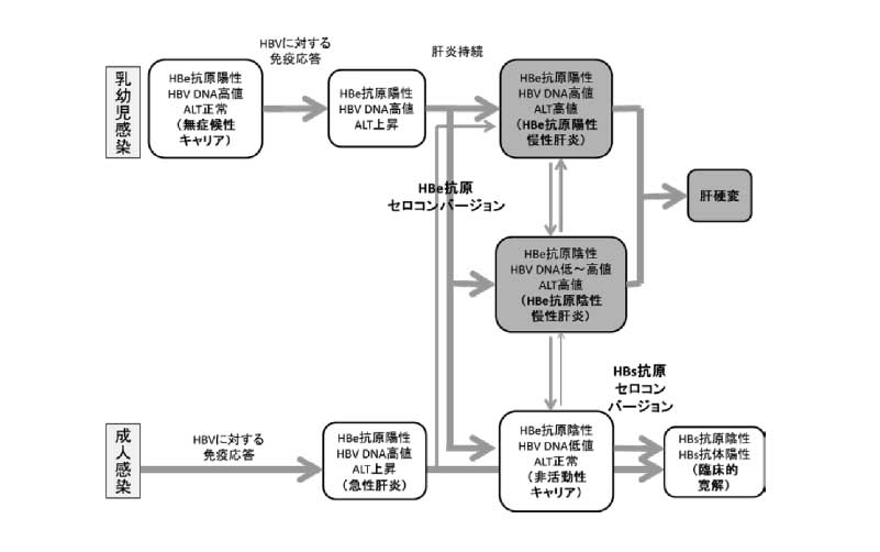 胃内視鏡検査について