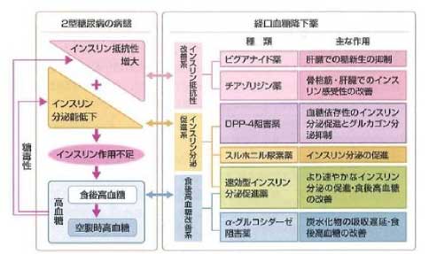 胃内視鏡検査について