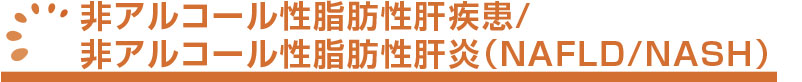 大腸内視鏡検査について